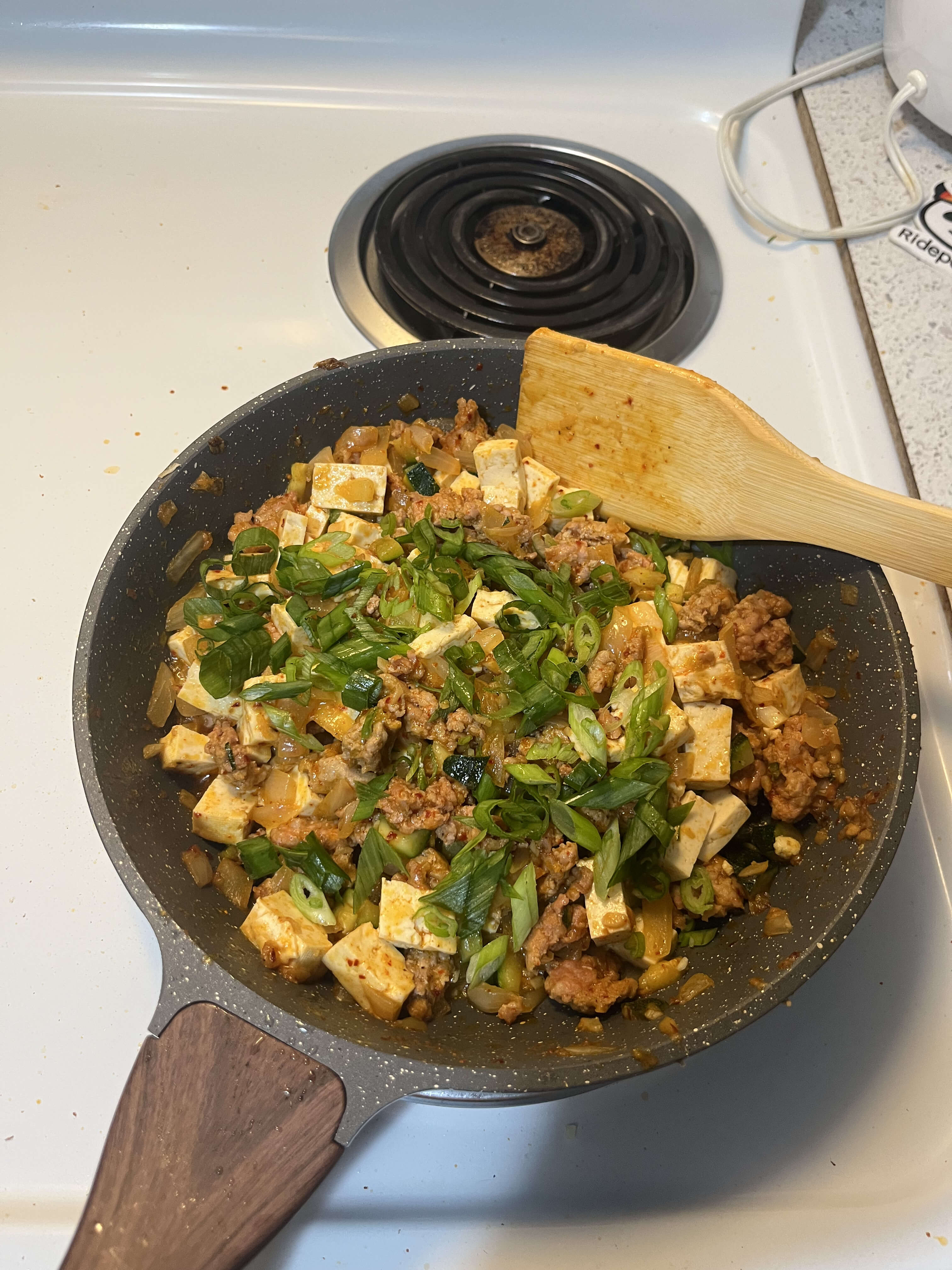Mixed Mapo Tofu